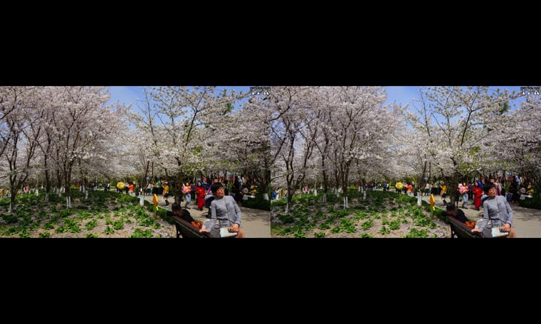霓裳十万舞娇娥  240406 - 主图