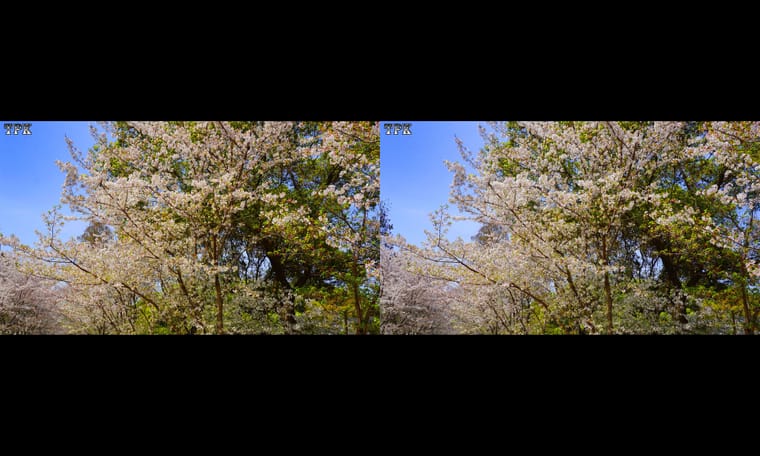 霓裳十万舞娇娥  240406 - 图片5