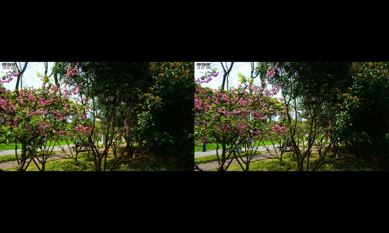 有小火车的公园  240407 - 图片3