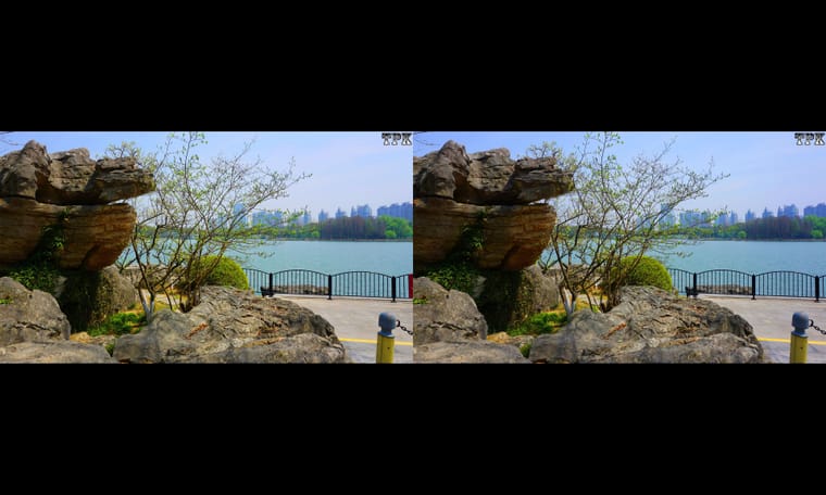 有小火车的公园  240407 - 图片5