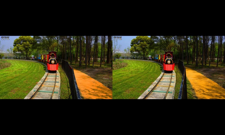 有鲜花的绿草地  240408 - 主图