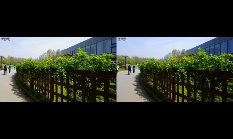 有鲜花的绿草地  240408 - 图片3