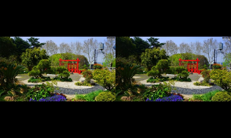 有鲜花的绿草地  240408 - 图片5