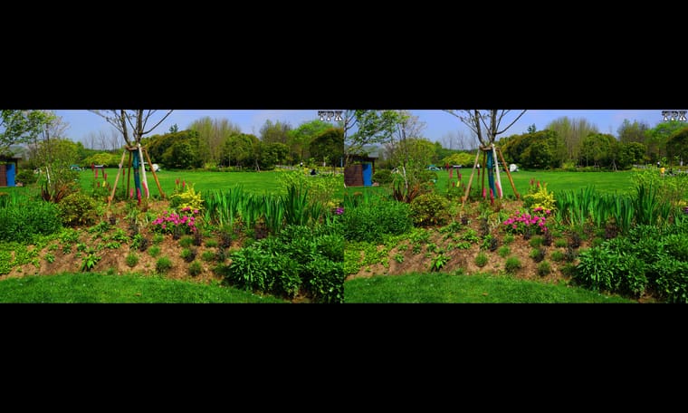 有鲜花的绿草地  240408 - 图片8