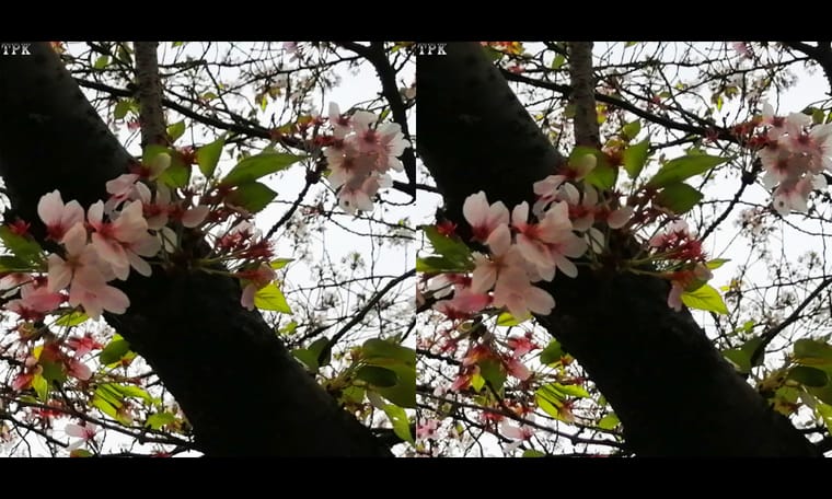 同济大学  240409 - 图片2