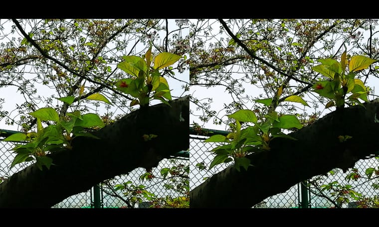 同济大学  240409 - 图片3