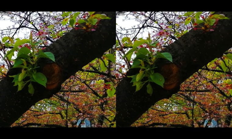 同济大学  240409 - 图片4