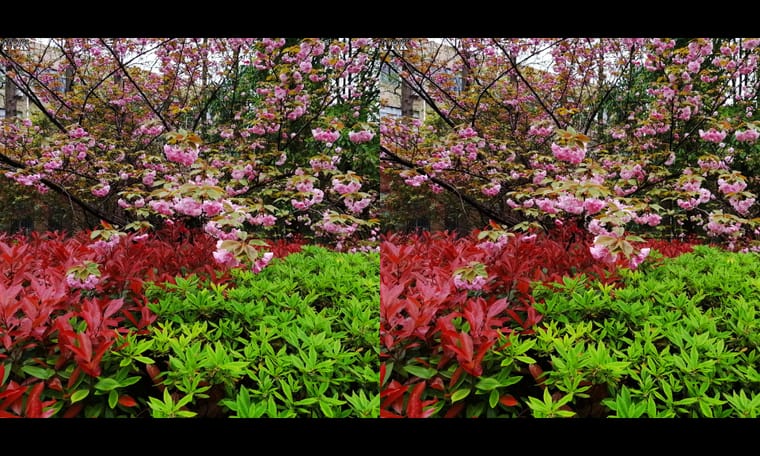 同济大学  240409 - 图片6