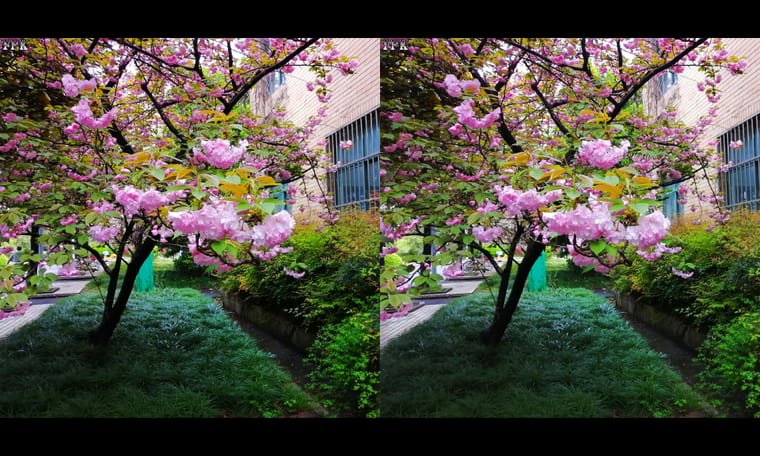 同济大学  240409 - 图片8