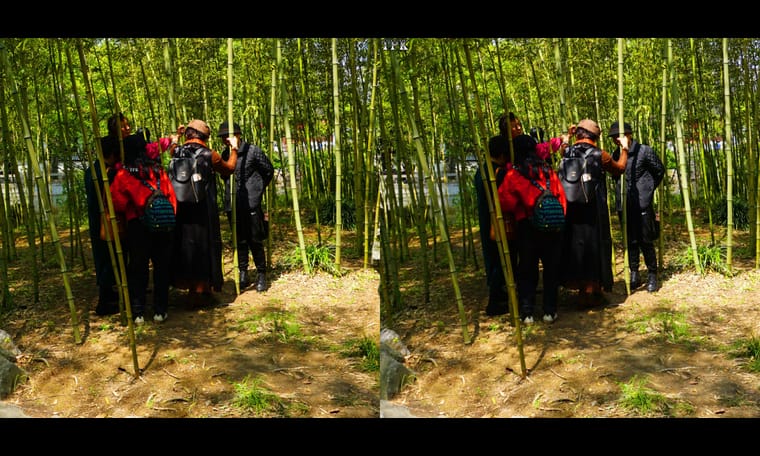 古猗园里牡丹红  240411 - 图片6