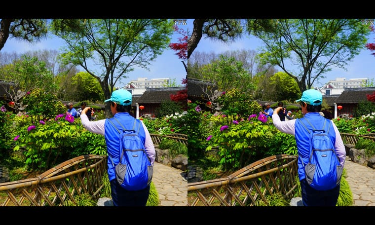 古猗园里牡丹红  240411 - 图片8