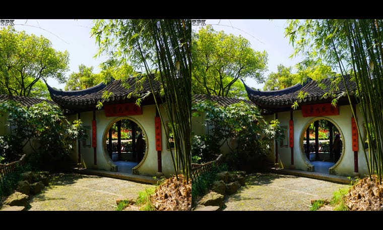 公园静悄悄  240414 - 图片2