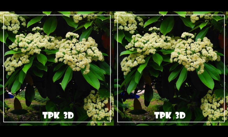 花有灵犀始盛开 240418 - 图片3