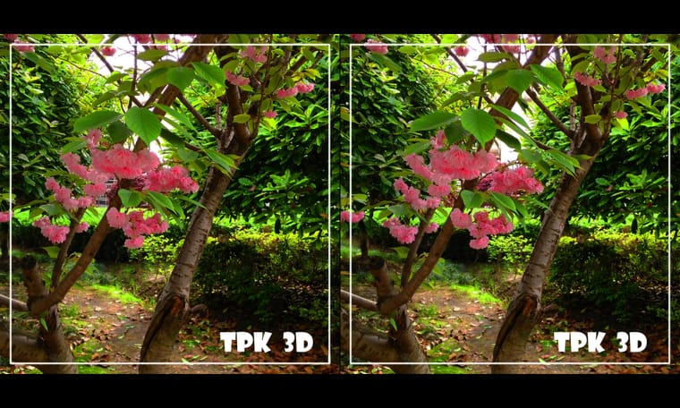 花有灵犀始盛开 240418 - 图片5