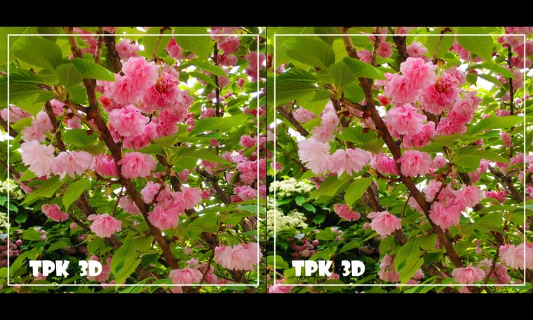花有灵犀始盛开 240418 - 图片6