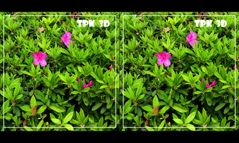 花有灵犀始盛开 240418 - 图片9