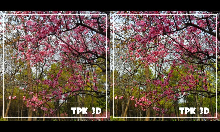 世纪梅园 2016   240417 - 图片9