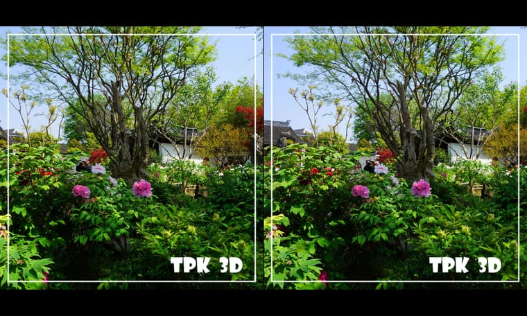 看到牡丹花  240430 - 主图