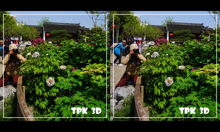 看到牡丹花  240430 - 图片2