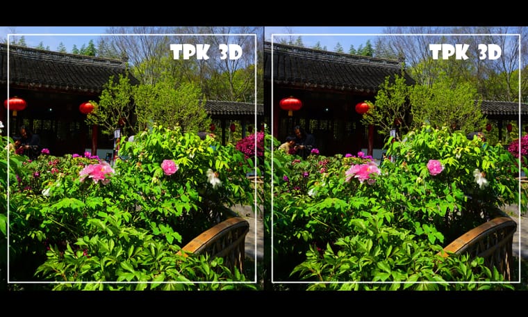 看到牡丹花  240430 - 图片6