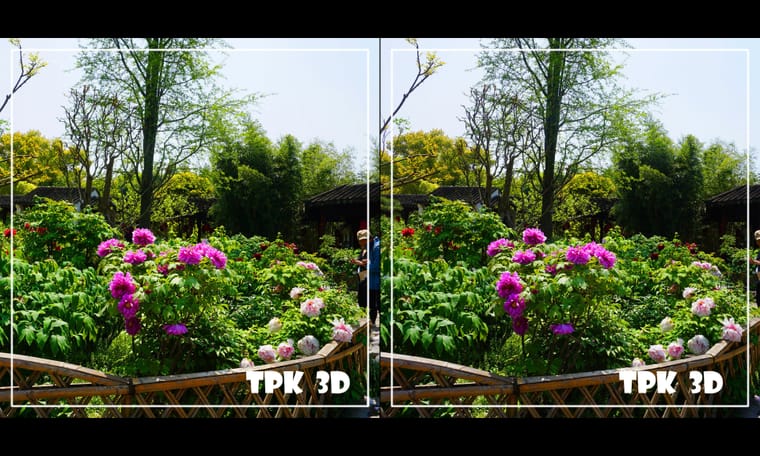 看到牡丹花  240430 - 图片7