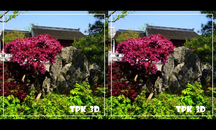 看到牡丹花  240430 - 图片8