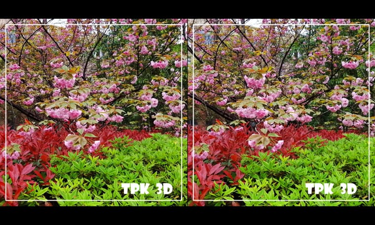 同济大学校园一角 240501 - 图片4