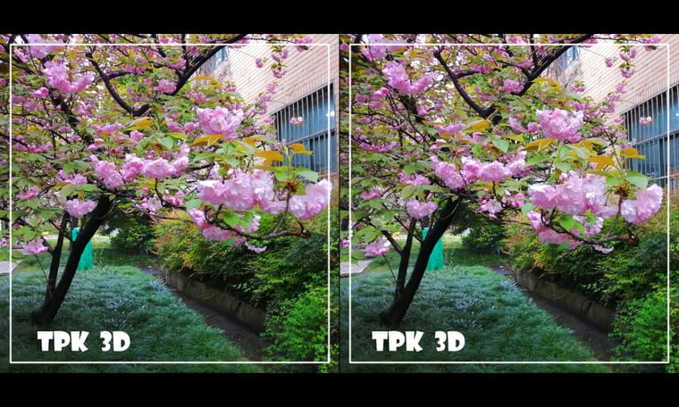 同济大学校园一角 240501 - 图片5