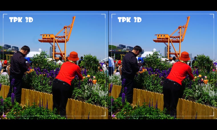 江畔春暖花绚烂（2） 240504 - 图片5