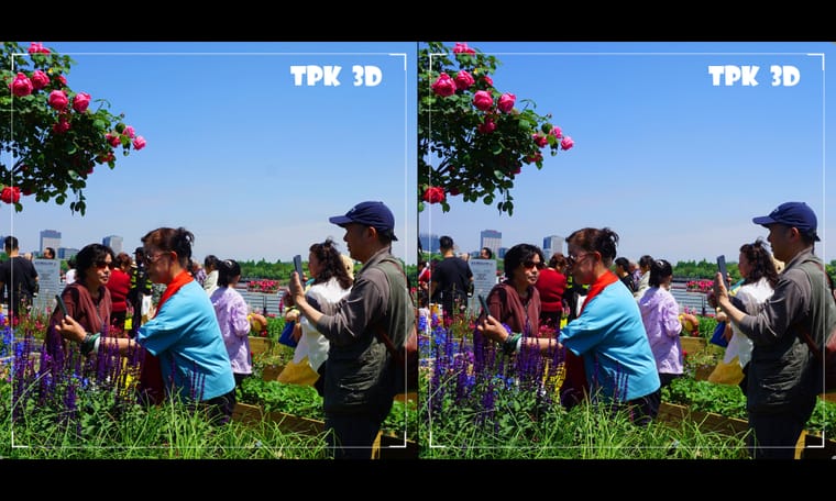 江畔春暖花绚烂（3）240506 - 图片2