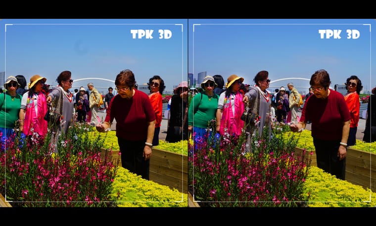 江畔春暖花绚烂（3）240506 - 图片7