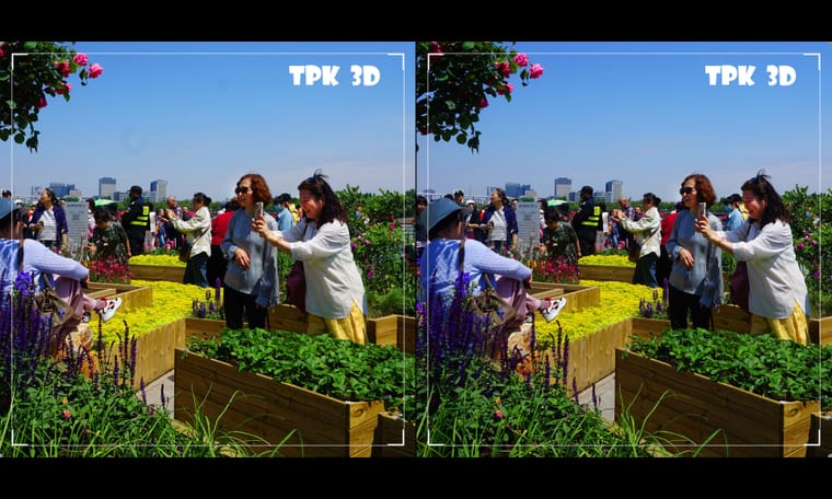 江畔春暖花绚烂（4）240507 - 图片3