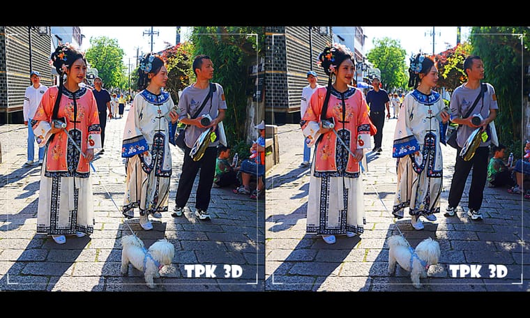平江河边的小路  240518 - 图片8