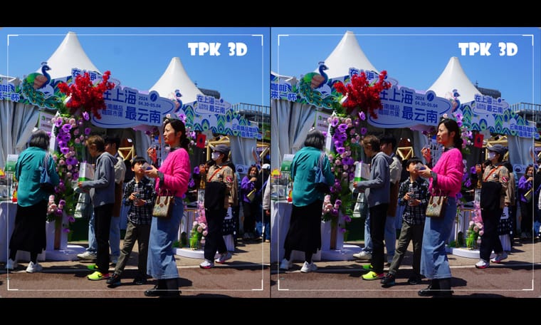 江畔春暖花绚烂（5） 240519 - 图片5