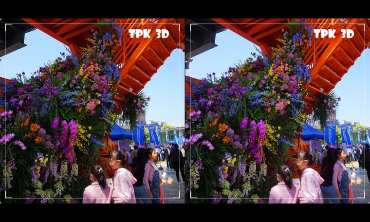 江畔春暖花绚烂（5） 240519 - 图片7