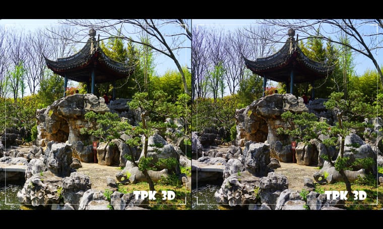 上海古猗园 240603 - 图片3