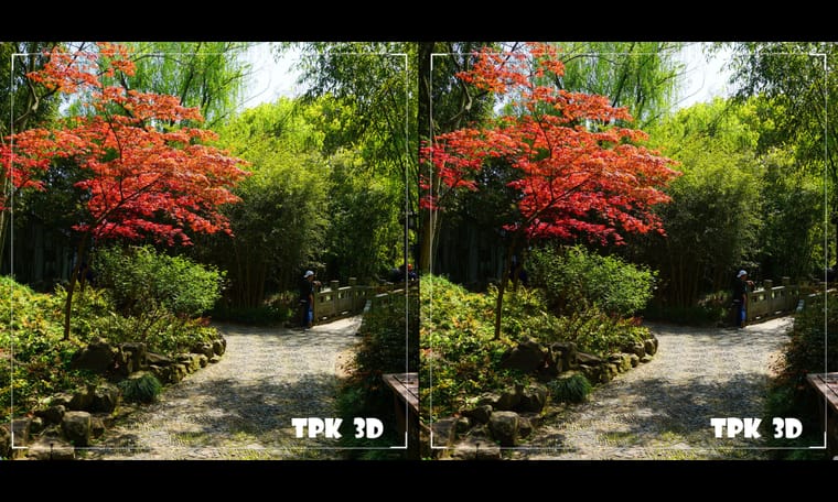 上海古猗园 240603 - 图片8