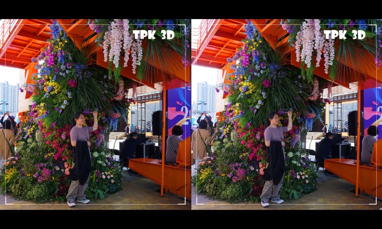 徐汇滨江赏花  240616 - 主图