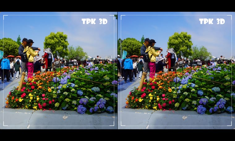 徐汇滨江赏花  240616 - 图片5