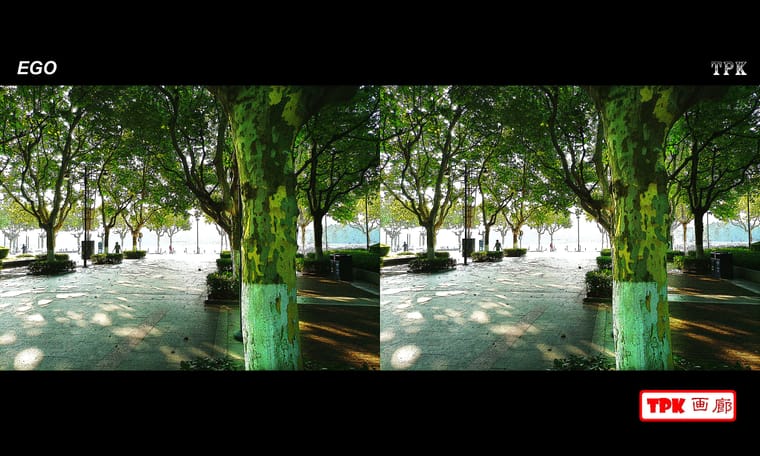 公园的早晨  240629 - 主图