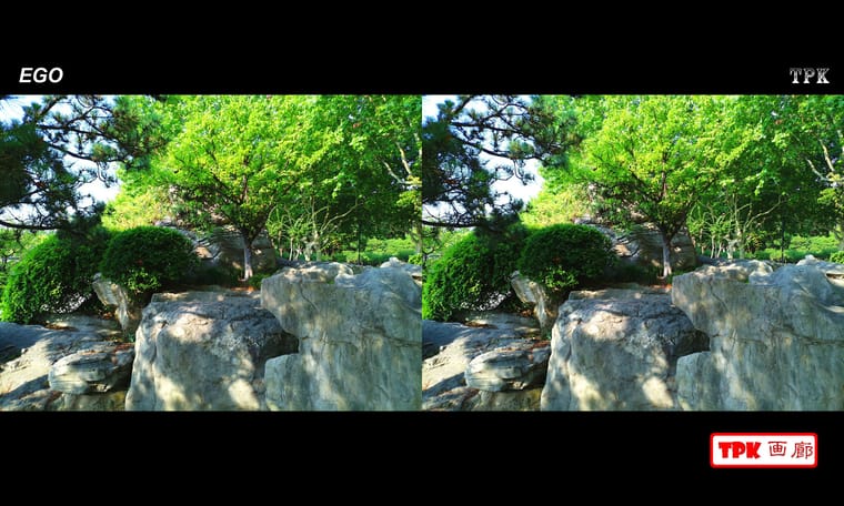 公园的早晨  240629 - 图片3