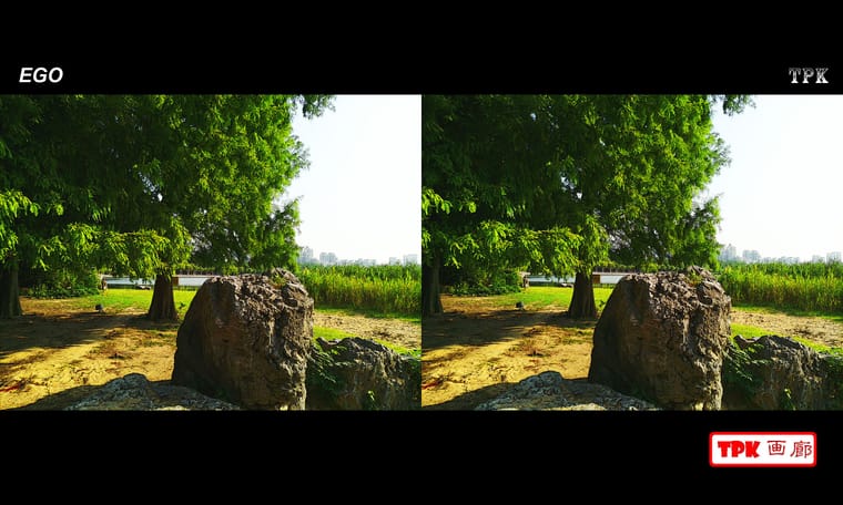 公园的早晨  240629 - 图片6