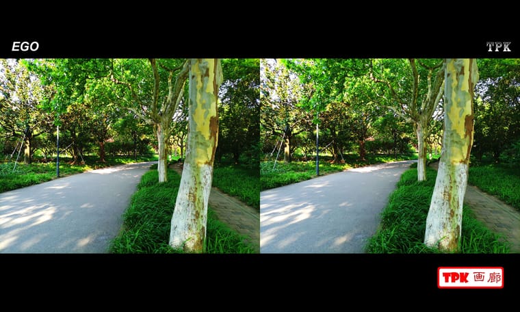 公园的早晨  240629 - 图片7