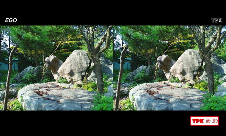 喜欢到公园走走  240630 - 图片2