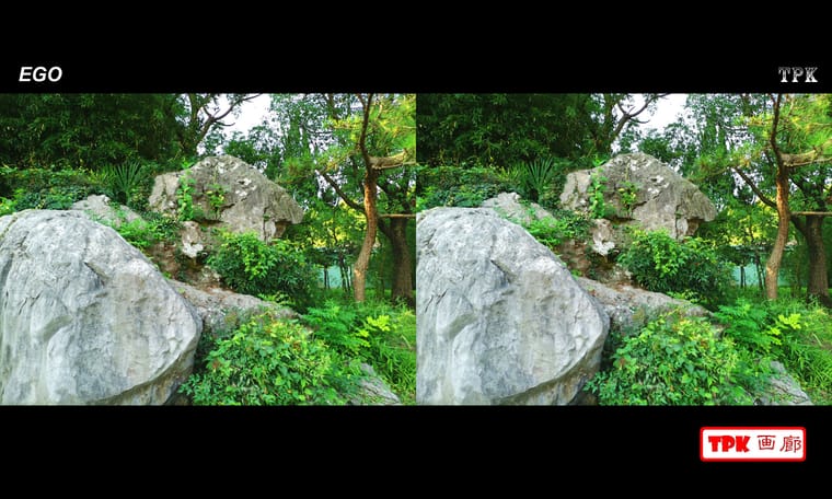 喜欢到公园走走  240630 - 图片5