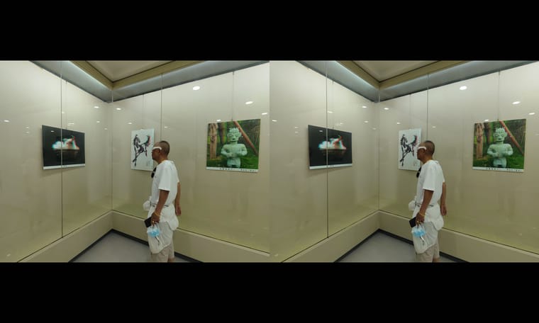 展览会陆续有人看  240707 - 图片6