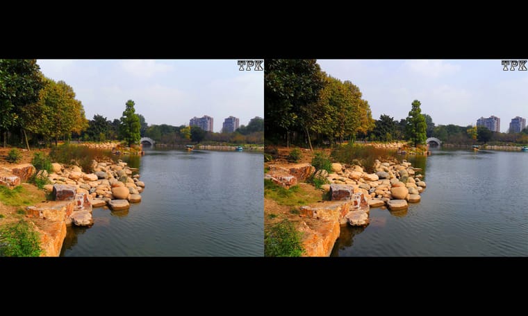 乐器 园林  240710 - 图片5
