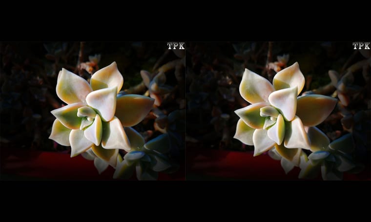 精耕细作绘立体  240711 - 图片2