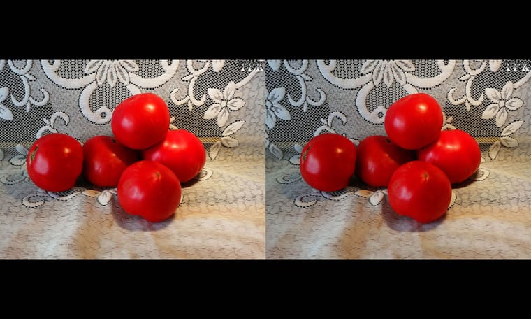 精耕细作绘立体  240711 - 图片4