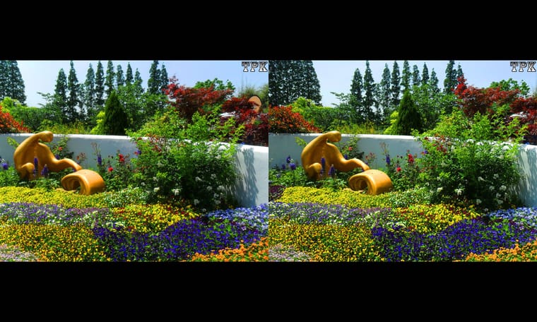 上海植物园 2016  240712 - 图片5